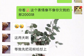 长宁区为什么选择专业追讨公司来处理您的债务纠纷？